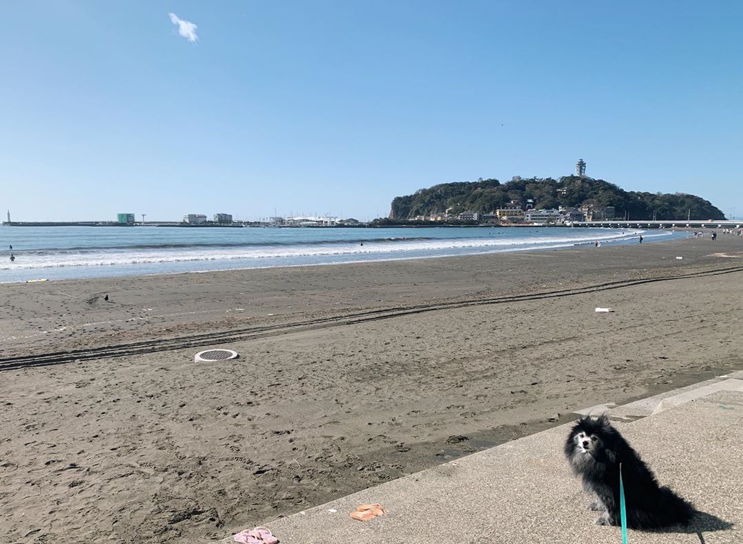 石田剛規 東日本大震災から9年 夏みたいな良い天気 娘を保育園に送るだけで汗をかく位 久しぶりに 時間をかけて朝の散歩 先が読めなくて不安な時期ではあるけれど Wacoca Japan People Life Style 石田剛規 東日本大震災から9年 夏みたいな良い天気 娘を保育園に送るだけで汗をかく位 久しぶりに 時間をかけて朝の散歩 先が読めなくて不安な時期ではあるけれど Wacoca Japan People Life Style