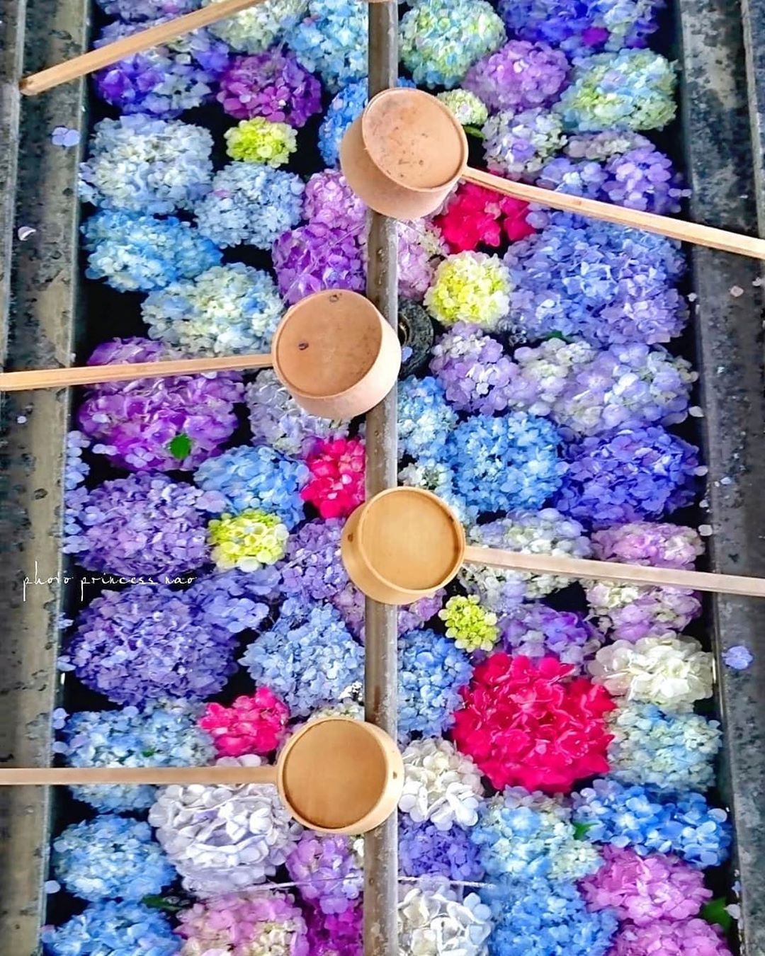 Retrip Nippon Retrip 福岡 こちらは 福岡県春日市にある 春日神社 の昨年の様子です 色鮮やかな紫陽花が浮かぶ花手水がとっても美しいですよね Retripでは Wacoca Japan People Life Style