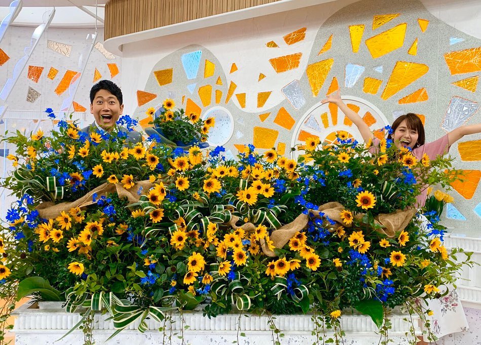 井上清華 今週のお花プレゼントは サンビリーバブル 先週のトルコギキョウは愛らしかったですが 今回はとっても爽やか きちんと育てれば 夏から霜 Wacoca