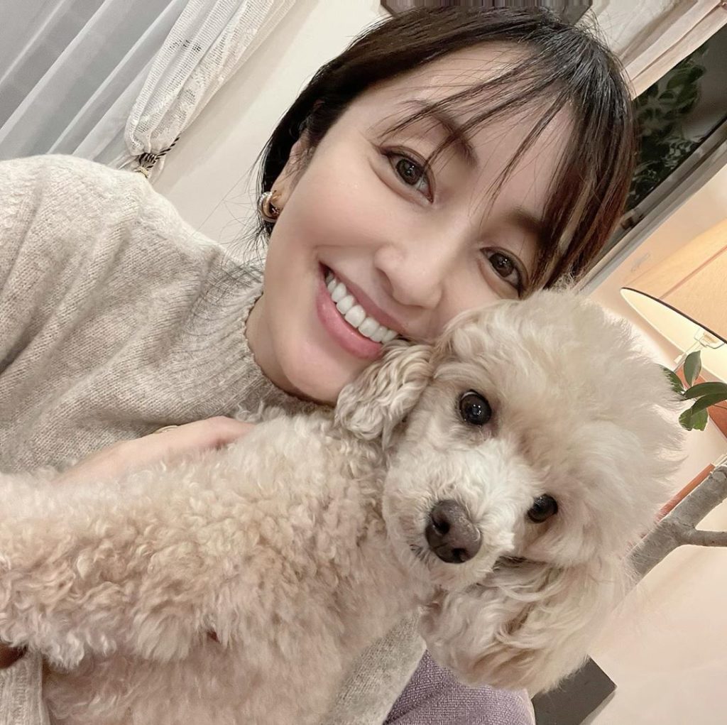 もなかと姉妹犬 Wacoca Japan People Life Style もなかと姉妹犬 Wacoca Japan People Life Style