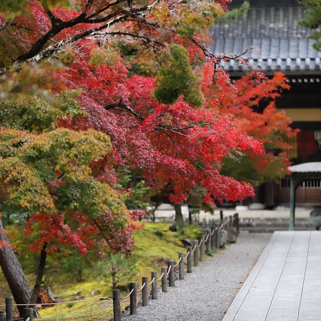 Retrip Kyoto Retrip 京都観光 今回ご紹介するのは 京都にある 南禅寺 です 京都岡崎エリアの観光地として人気 を集めるこちらのお寺では 色鮮やかな紅葉の見 Wacoca Japan People Life Style
