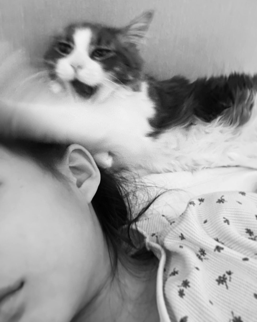 山本優希 だから 私の場所がないってば ミャー Good Night 猫のいる暮らし 猫のいる生活 猫好きさんと繋がりたい メインクーン Wacoca Japan People Life Style 山本優希 だから 私の場所がないってば ミャー Good Night 猫のいる暮らし 猫のいる生活 猫好きさんと繋がりたい メインクーン Wacoca Japan People Life Style