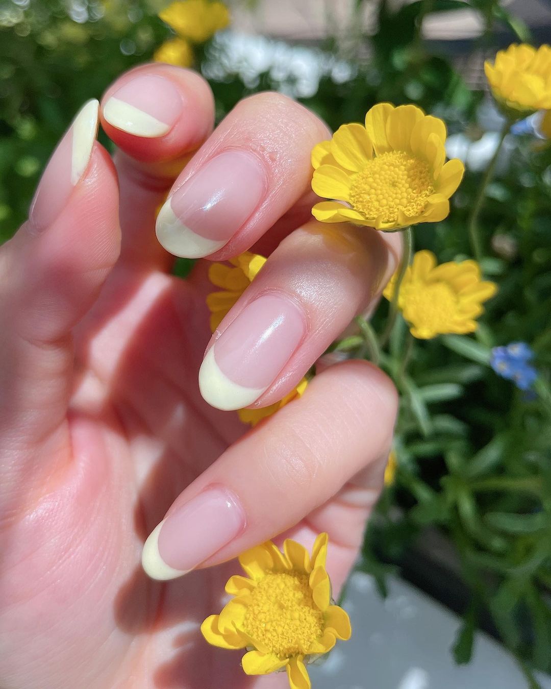 舟山久美子 Newネイル 珍しくイエローフレンチ シンプルにhappyに過ごしたい心の現れかな ささくれでちゃってるけど まぁいっか 笑 今週末から 気を引き締 Wacoca Japan People Life Style 舟山久美子 Newネイル 珍しくイエローフレンチ シンプルにhappyに過ごしたい心の現れかな ささくれでちゃってるけど まぁいっか 笑 今週末から 気を引き締 Wacoca Japan People Life Style