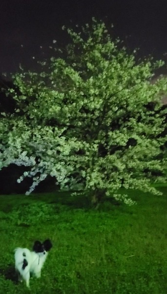 8E53025B-075B-421D-89FF-EDB0A643E2C5