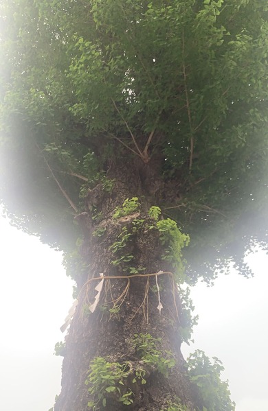 F0A73579-F0AF-4A37-A4D7-5C34858C9E76