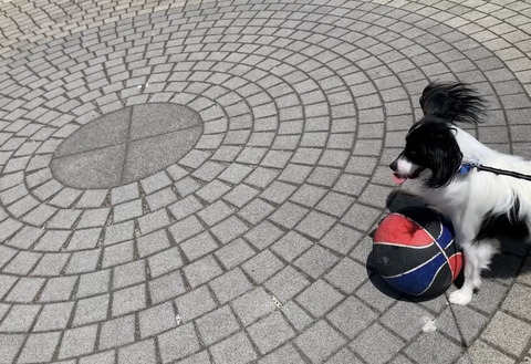 DE1C7D94-8A89-42A7-A106-3A0189A91CB1