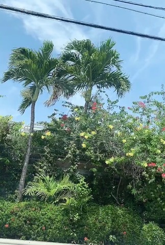image5