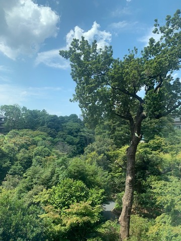 image11