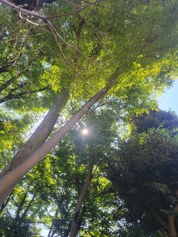 Unknown-2